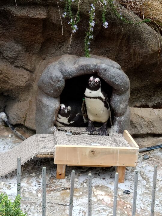 水族館に行った